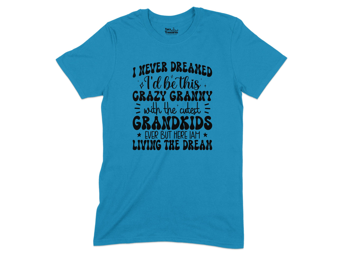 I Never Dreamed I'd Be This Crazy Granny T-Shirt Product
